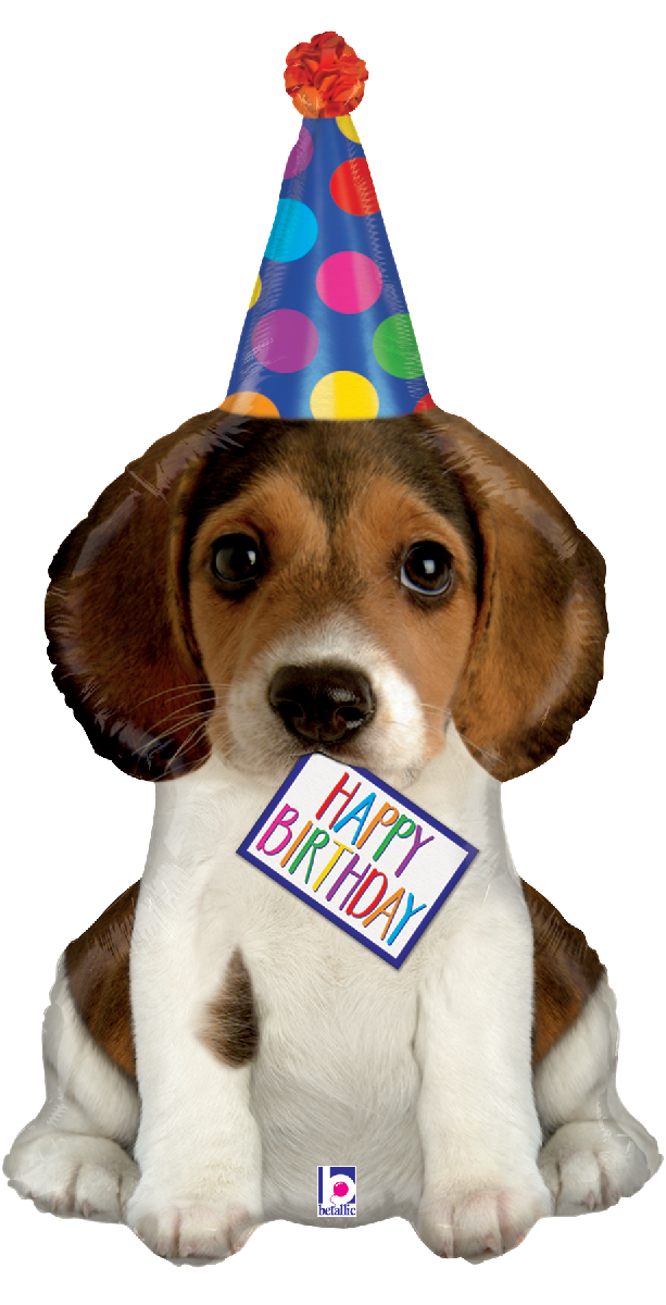 35561_BirthdayPuppy1200x1200 (1).png
